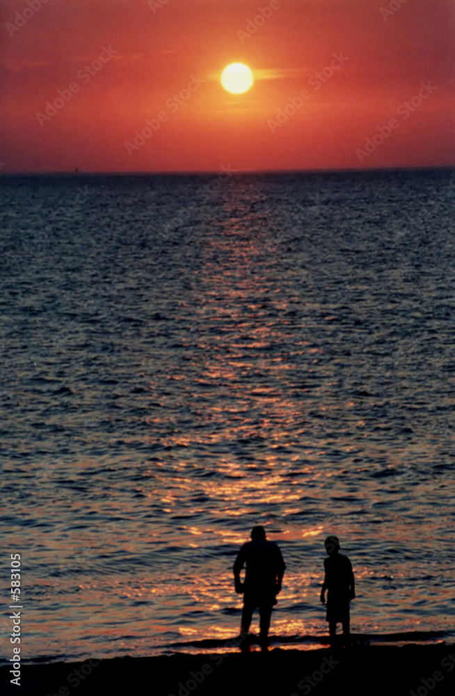 Fototapeta premium silhouette at sunset 4