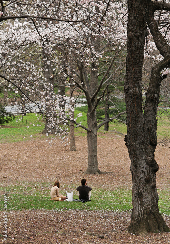 couple sitting on the grass