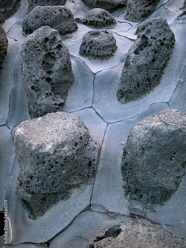 lava rocks on jeju island, korea