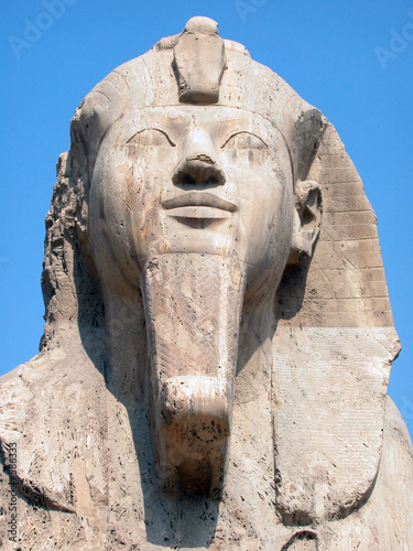 the memphis sphinx  egypt