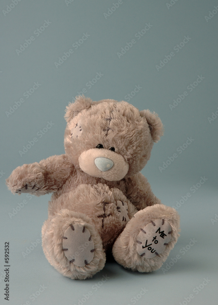nounours1 nounours1