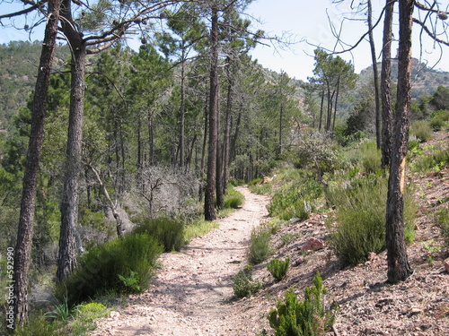 chemin du mont vinaigre