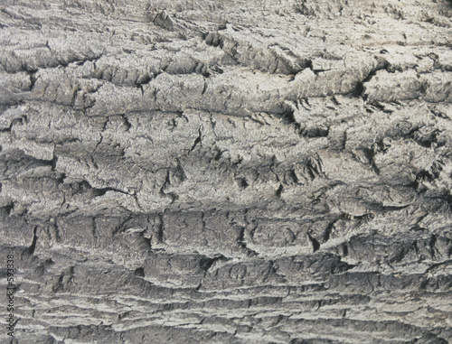 pasty gray bark flow