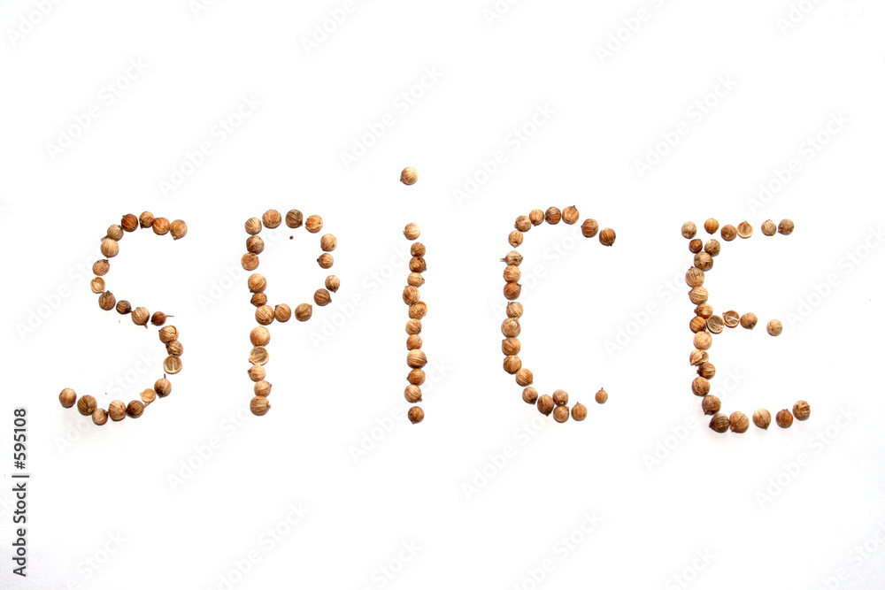 coriander spices coriander spices