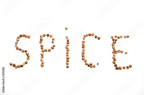 coriander spices