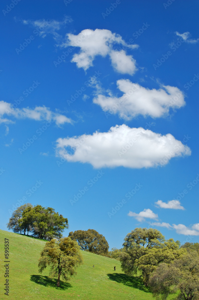 Obraz premium springtime landscape