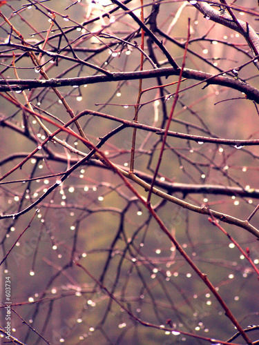 Obraz na płótnie drops nature sunrise w salonie