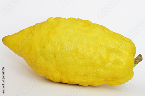 jewish citron photo