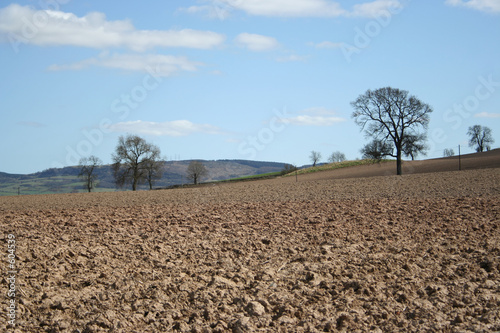 ploughed field in springtime
