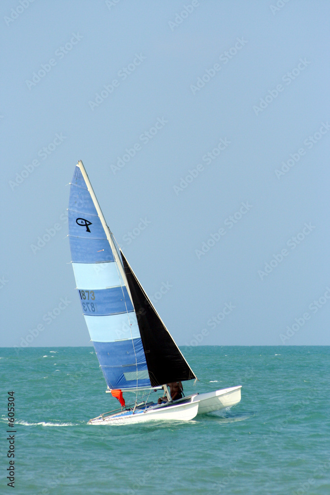Naklejka premium sailing alone 1