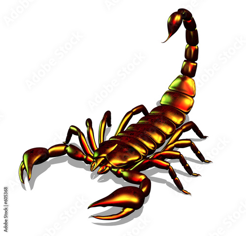 Valokuva metallic scorpion