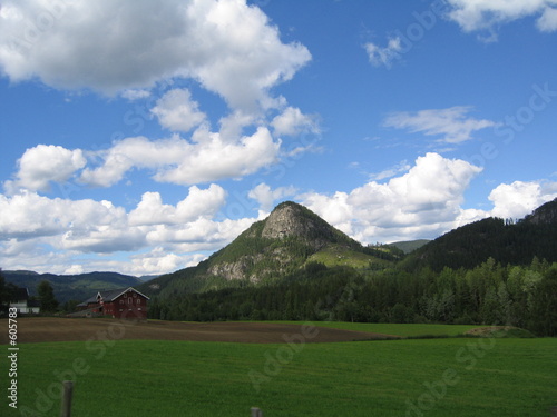 norwegian farmland