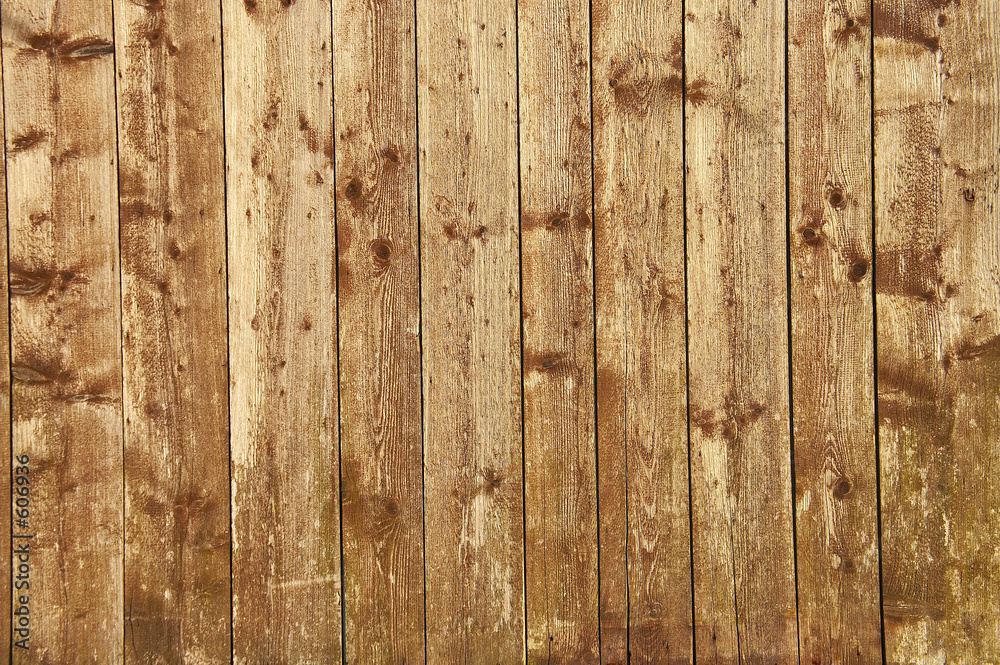 Fotografie fence