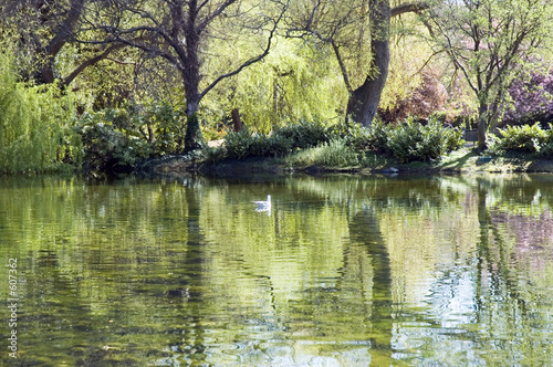 Photography park lake view