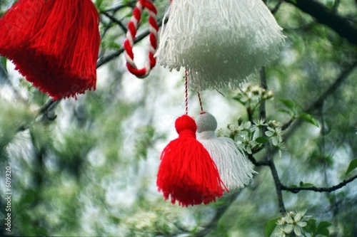 martenitza on a tree