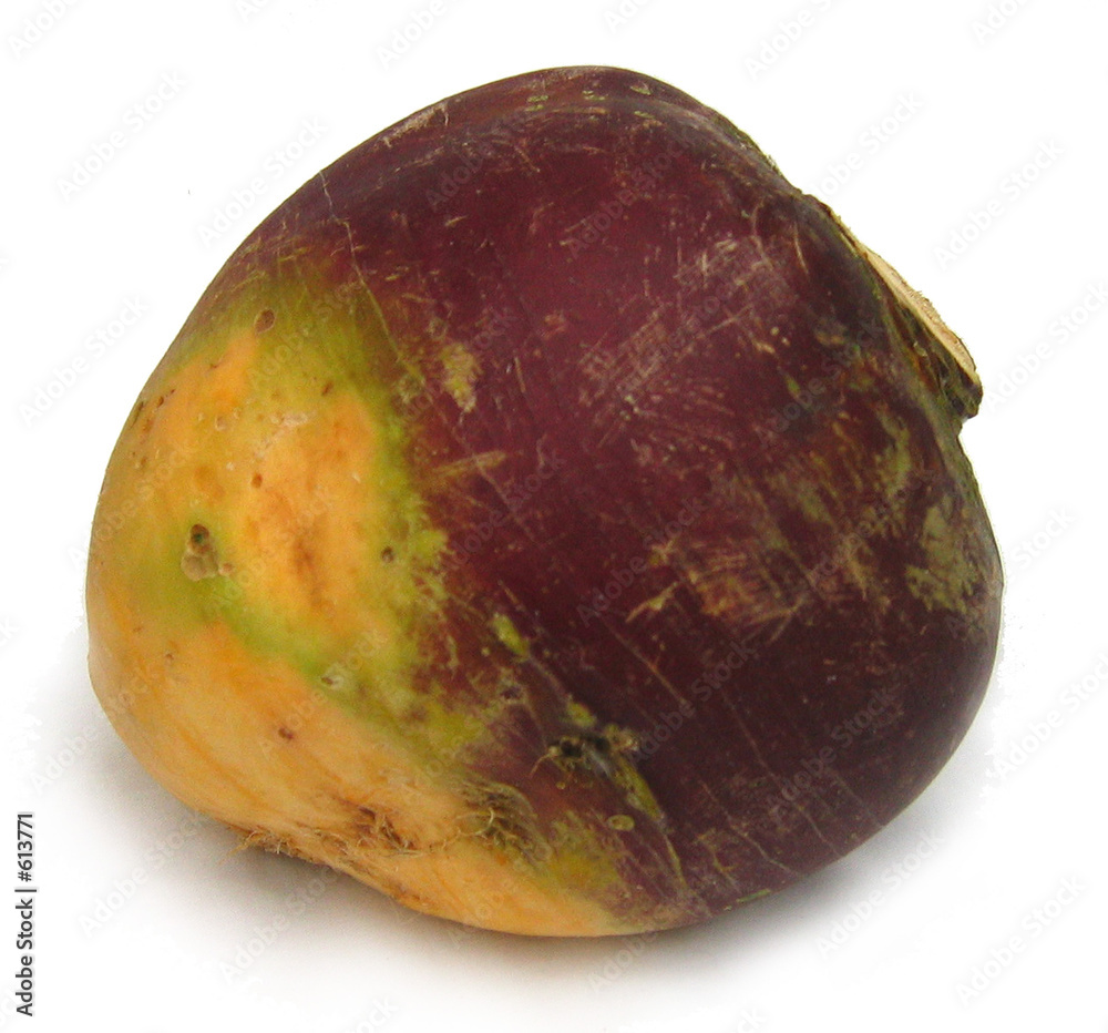 Fotografie rutabaga
