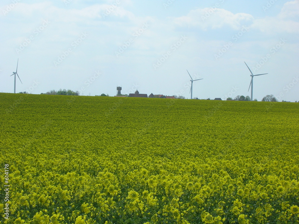 éoliennes3 éoliennes3