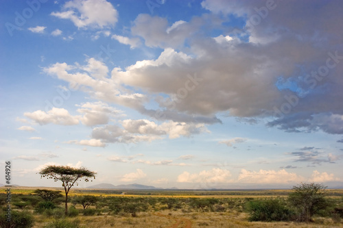 african landscape