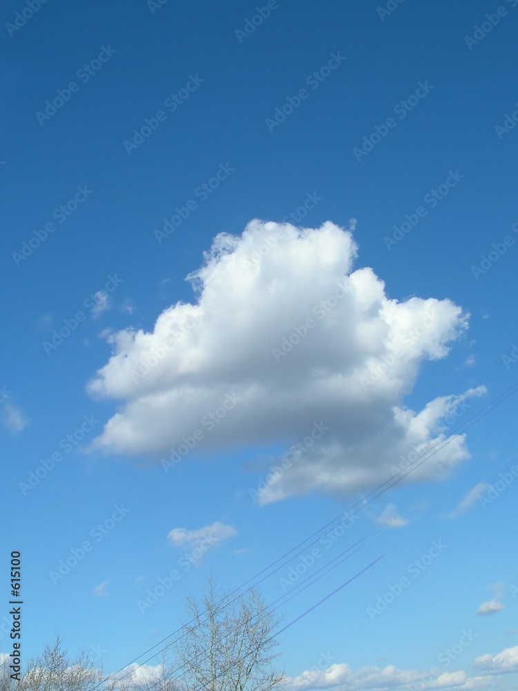 Ciro Stratus Images Browse 2 Stock Photos Vectors and Video