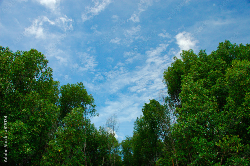 blue and green