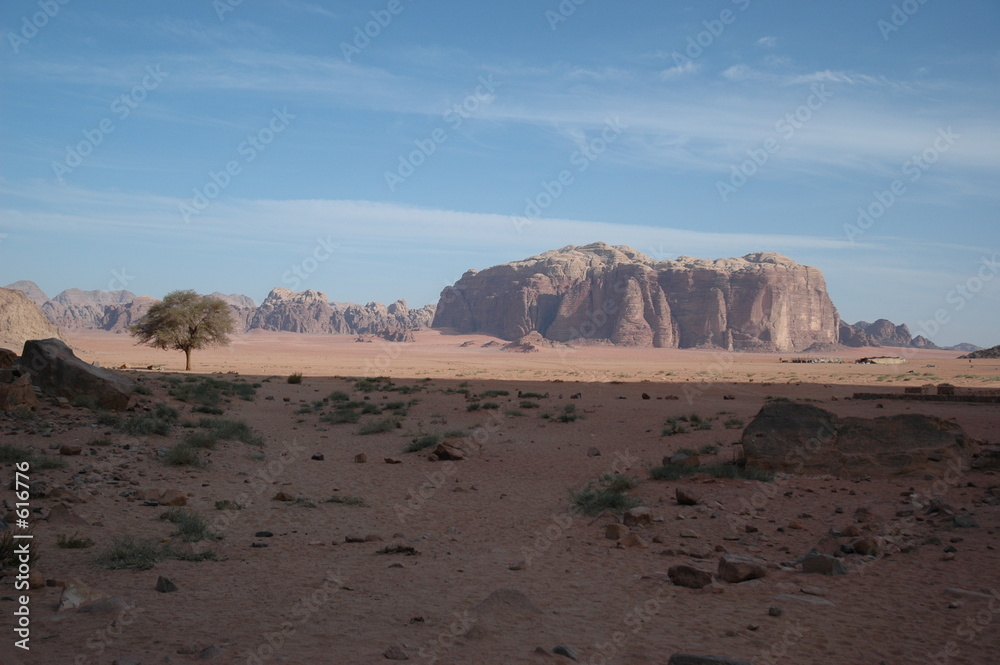 wadi rum