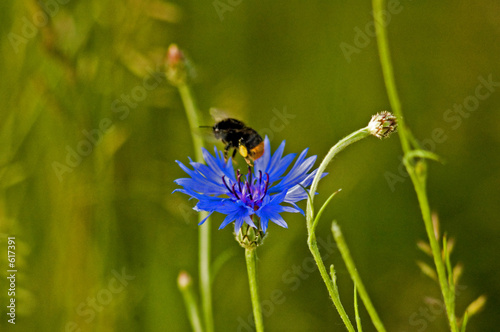 abflug