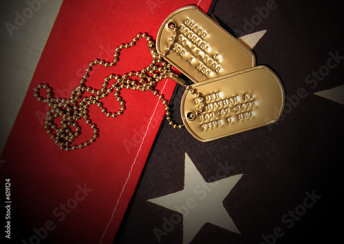 vietnam war tags (fictional names and social security numbers) photo
