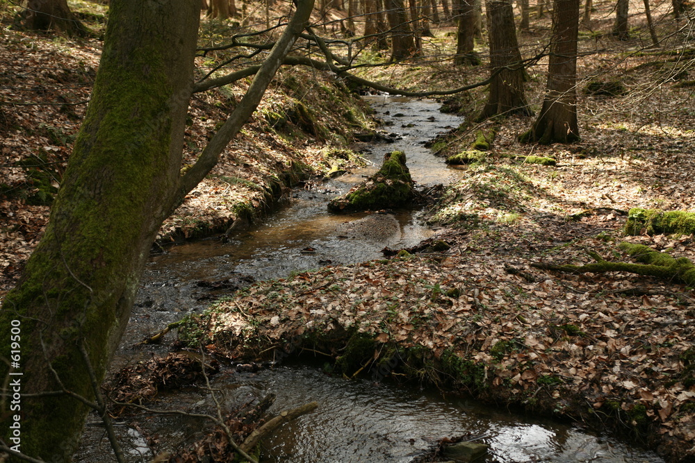 waldbach waldbach