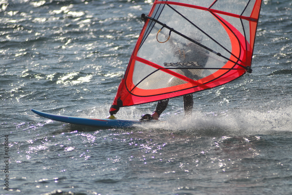 Naklejka premium veliplanchiste 6