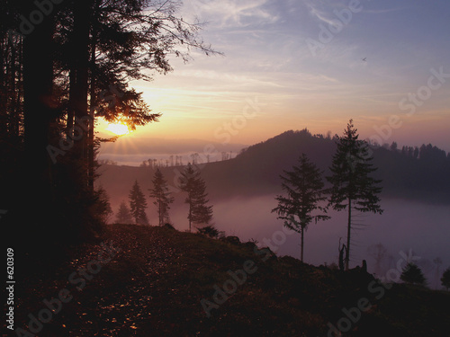 herbstnebel photo