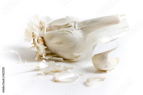 garlic photo