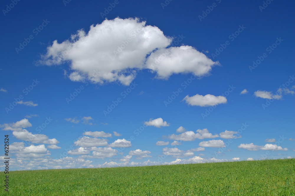 springtime meadow springtime meadow