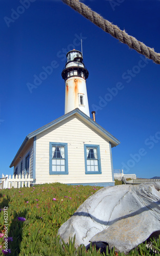 pigeon point lighthouse photo