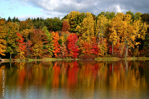reflections of fall