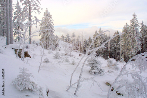 weihnachten - verschneite waldlandschaft