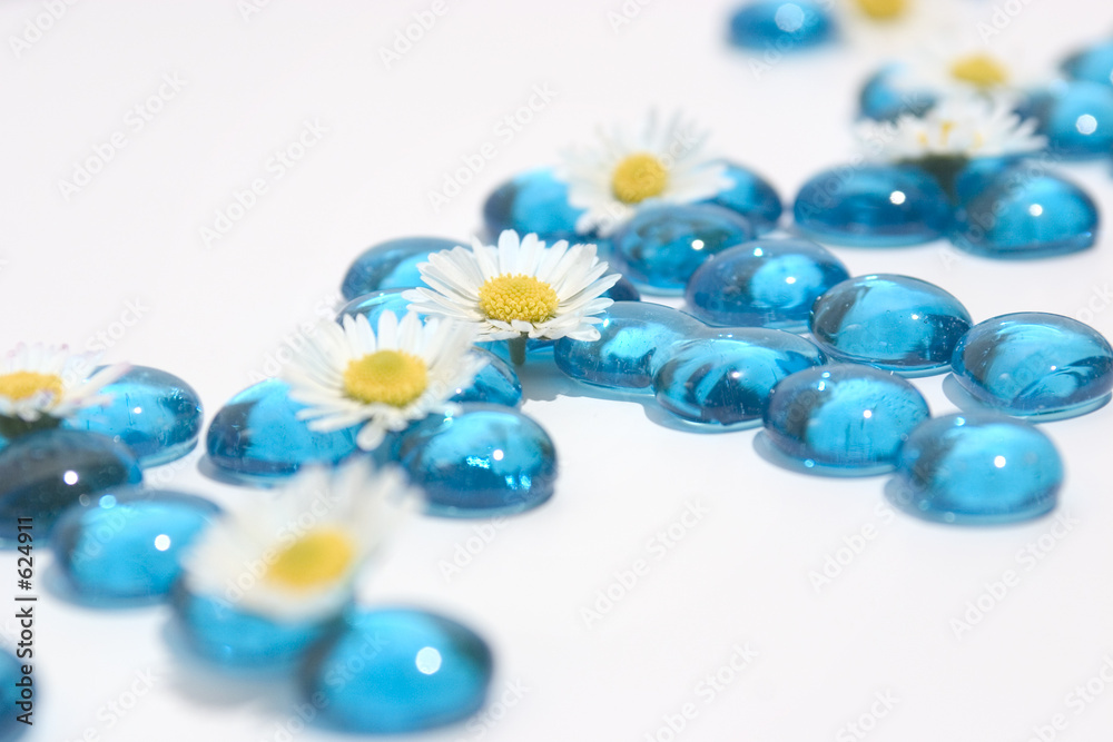 daisies and blue glass daisies and blue glass