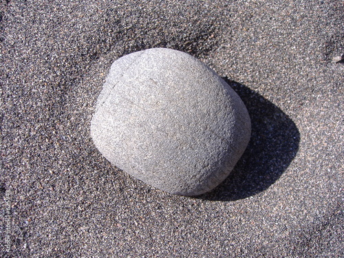roche