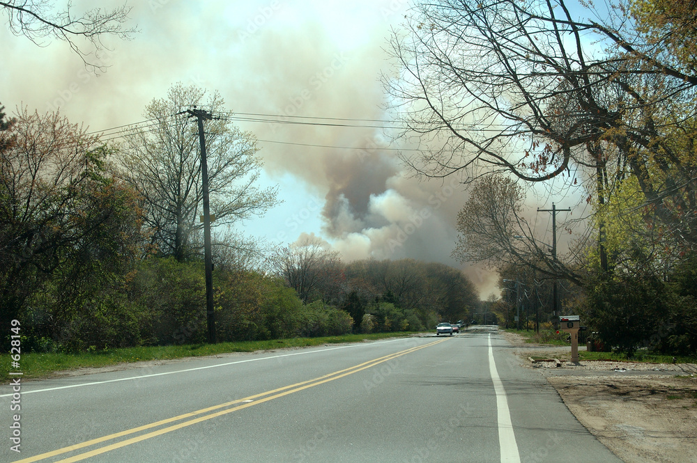 Fototapeta premium brush fire 2