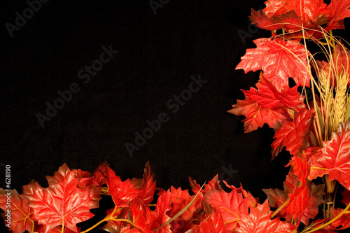 autumn border ii