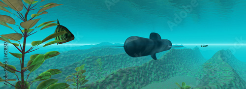 u557 photo