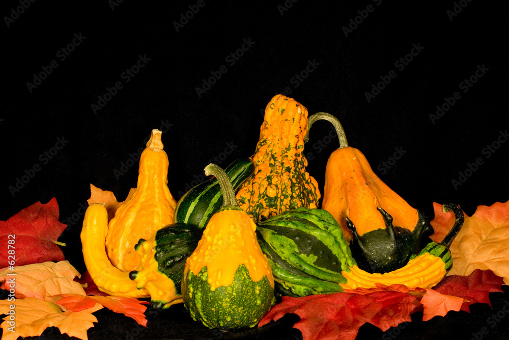 Wall Mural gourds & leaves centerpiece