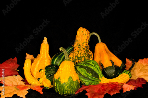 gourds & leaves centerpiece