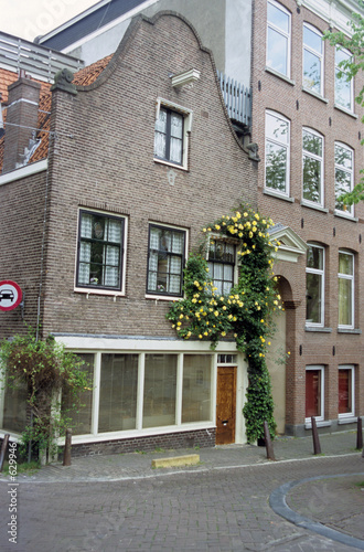 amsterdam flowered house