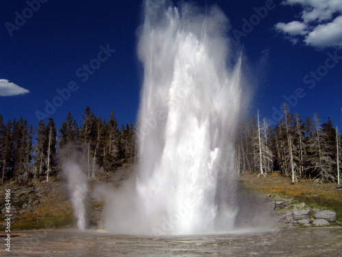 Photo grand geyser yellowstone