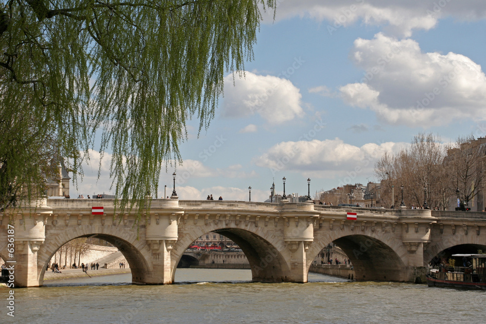 Φωτογραφία pont-neuf