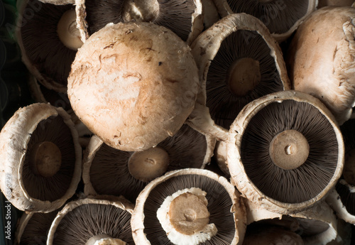 brown mushrooms