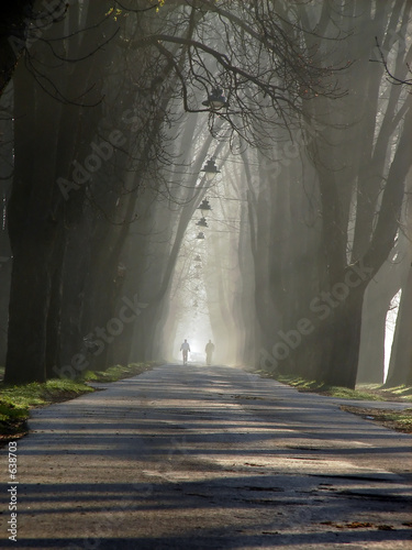 walking in alley