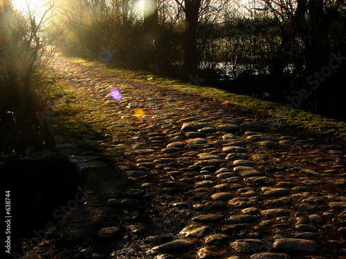 stone path on morning light