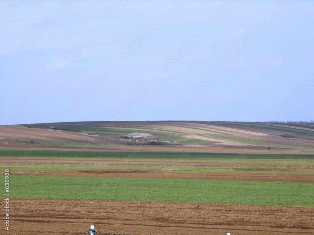 Obraz na plátně landscape