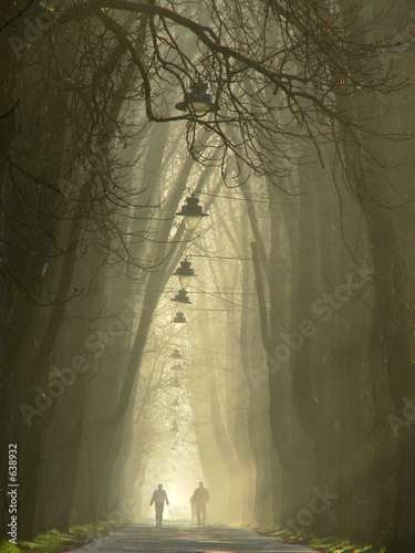 morning walk